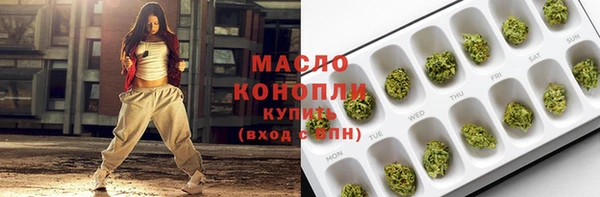 индика Арсеньев