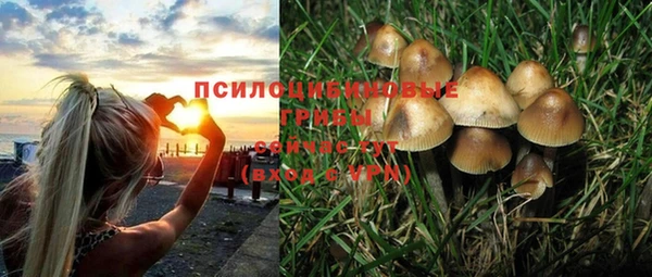 эйфоретик Аркадак