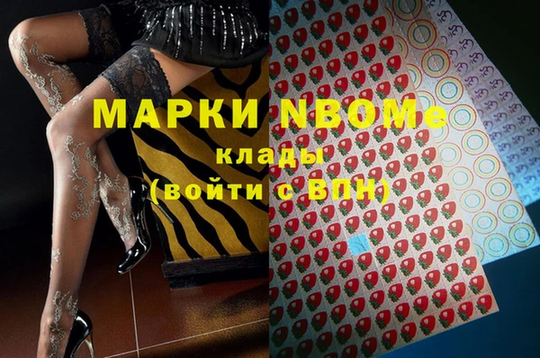 индика Арсеньев