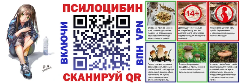 цена   Вяземский  Псилоцибиновые грибы мухоморы 